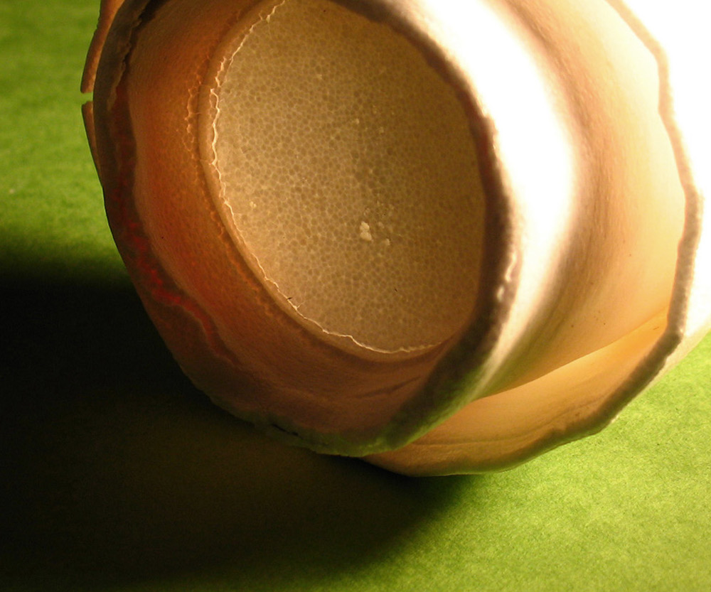 Cultures Cafe Cup detail